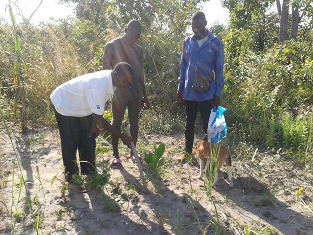 Projet Agricole