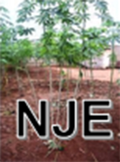 Logo NJE